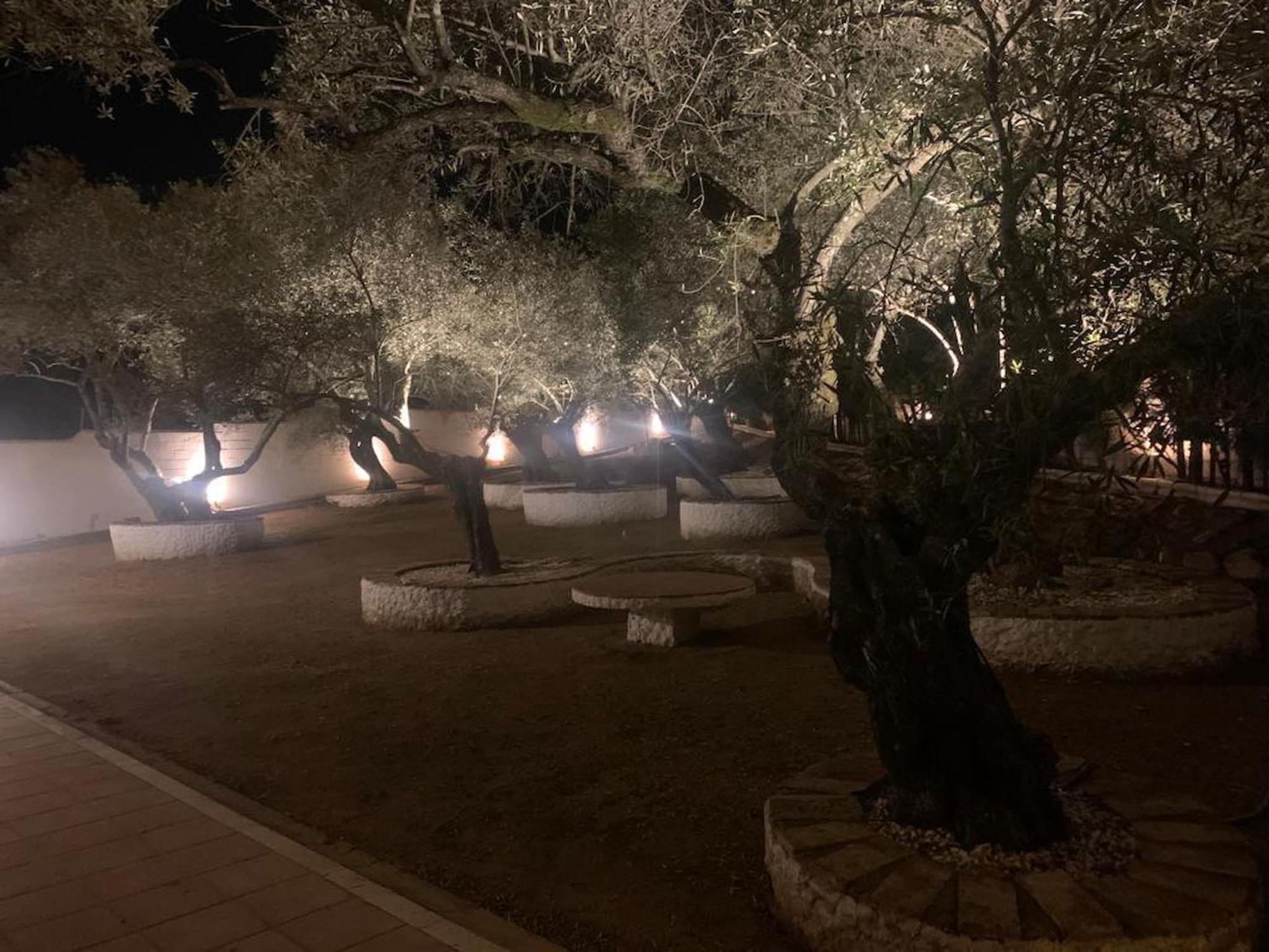 El Rincon Del Brillante Cordoue